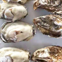 乳山半殼牡蠣批發 新鮮海產品海蠣子生蠔 生鮮燒烤食材半殼牡蠣