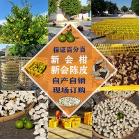 正宗新會柑、新會陳皮批發