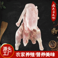 農家養(yǎng)殖新鮮無頭去皮鵝 鐵鍋燉大鵝下酒菜 朗德鵝鵝制品生產廠家