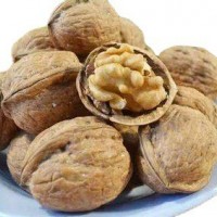 新貨上市，常年供應核桃，質量保證 價格優惠