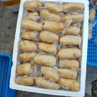 鮮天麻真空保鮮天麻一個(gè)一袋，酒店冰鎮(zhèn)天麻片，天麻食材長(zhǎng)年供應(yīng)