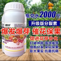 1000毫升多肉植物細胞分裂素催芽劑促花促生長?；ū９~面肥正品