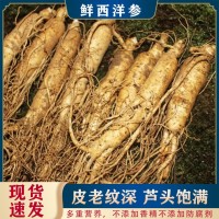 鮮西洋參東北長白山特產多種規(guī)格 營養(yǎng)滋補煲湯泡水熱銷鮮西洋參