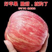 洛川蘋(píng)果供應(yīng)鏈 一件代發(fā) 美域高蘋(píng)果 凈重8.5斤大果