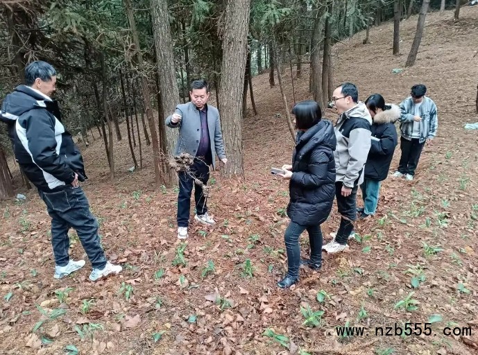 微信截圖_20250318171924