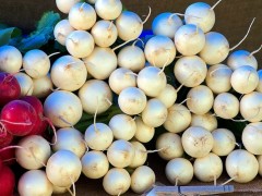 種植白蘿卜如何進行土肥管理，管理要點都有哪些？