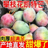 凱特芒果攀枝花凱特芒大芒果青皮芒果大果非貴妃紅玉蘋果芒大青芒