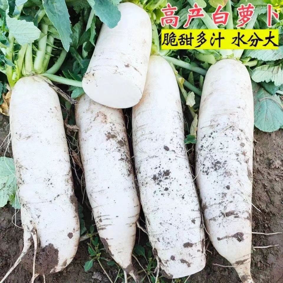 O1CN01noctmI2EQ3huggJRr_!!2216616288738-0-cib