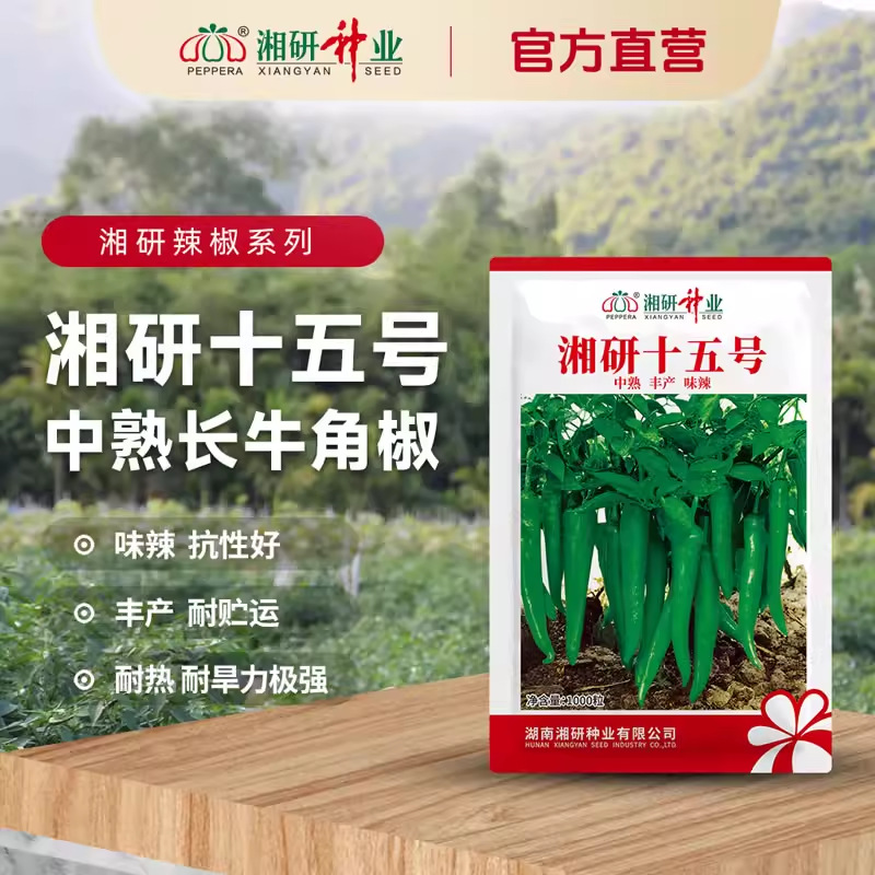 O1CN0121ryAY1yASal85MY7_!!965326538-0-cib