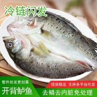 深海鱸魚海鱸魚批發(fā)新鮮開背鱸魚冷凍鮮活七星鱸魚海鱸魚商用批發(fā)