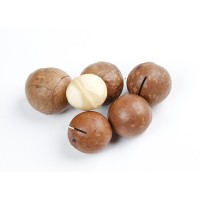 小丫快跑奶油味夏威夷果450g700g罐裝堅(jiān)果干果批發(fā)代發(fā)開口手剝