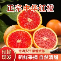 中華紅橙當季鮮果新鮮采摘紅肉臍橙孕婦水果整箱秭歸臍橙產地直發
