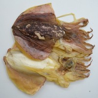 批發(fā)墨魚干海鮮海產(chǎn)水產(chǎn)干貨干墨魚500g海味干批發(fā)