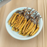 西藏冬蟲夏草批發(fā) 產(chǎn)地直供全規(guī)格蟲草足干冬蟲夏草禮盒 支持代發(fā)