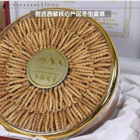 西藏冬蟲夏草干貨批發(fā) 頭期高海拔蟲草禮盒裝 多規(guī)格干蟲草無斷草